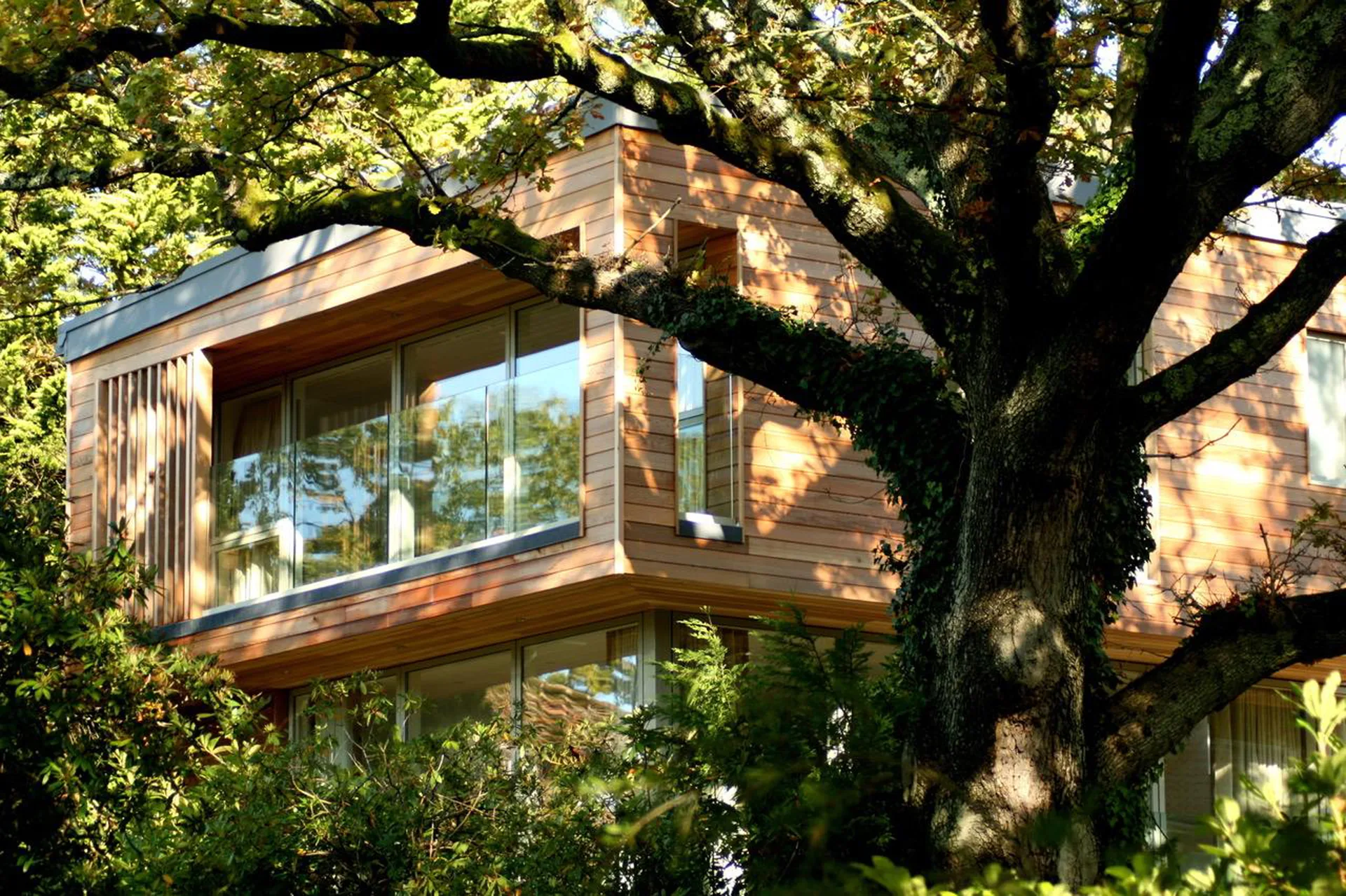 Cedar-clad extension detail, completed by Morgan Design & Construction at Flambard Road, Lower Parkstone, Poole