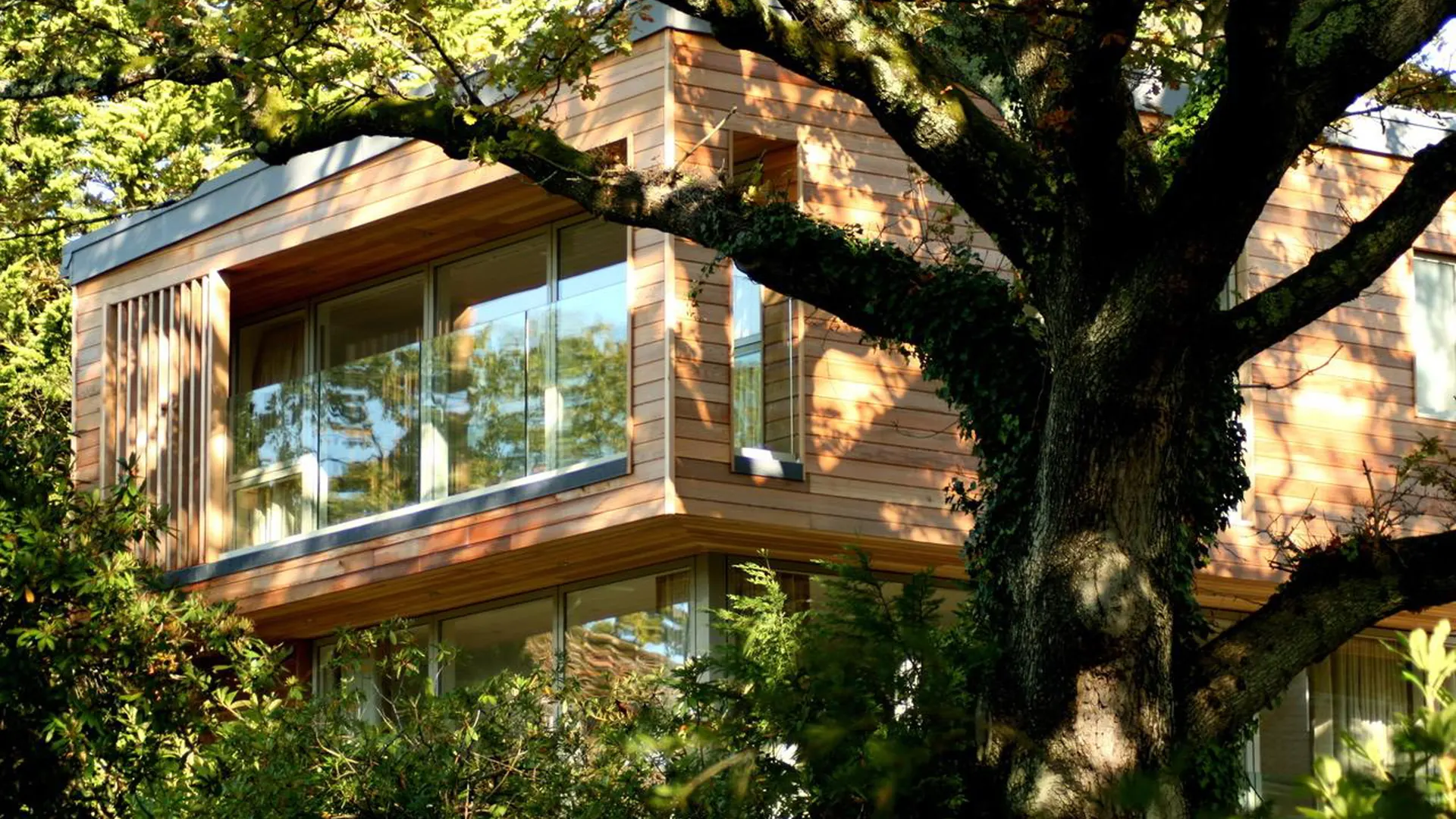 Timber-clad extension at Flambard Road, Lower Parkstone, Poole